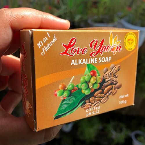 love-yacon2